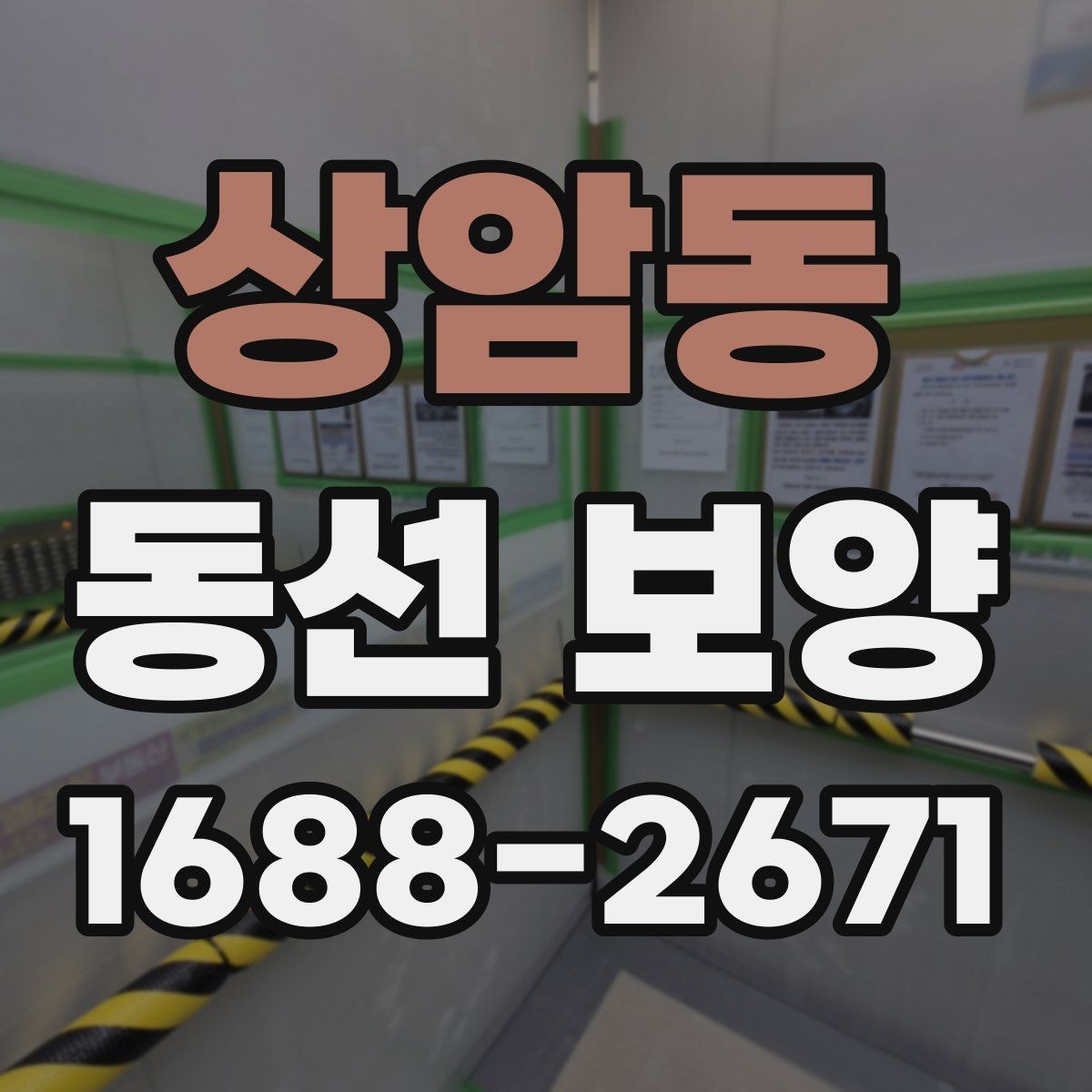 상암동 동선 보양 후 마감 상태 점검 포인트