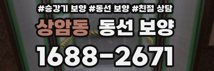 상암동 동선 보양