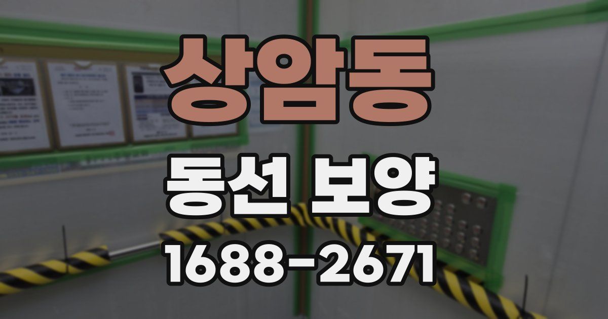 상암동 동선 보양