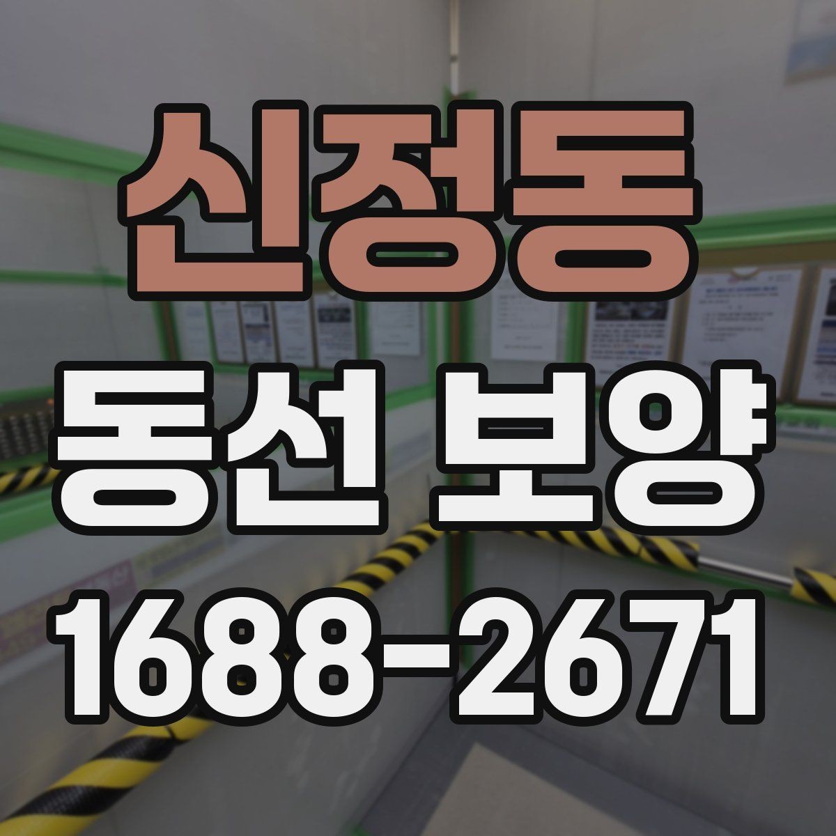 신정동 동선 보양 현장별 적용 사례와 특징