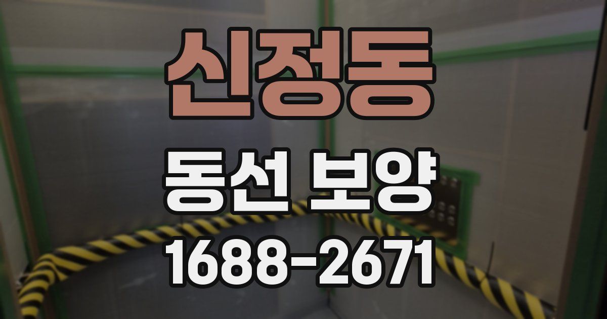 신정동 동선 보양