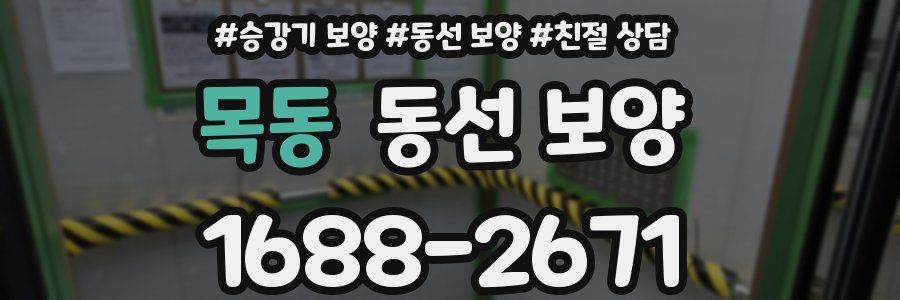 목동 동선 보양