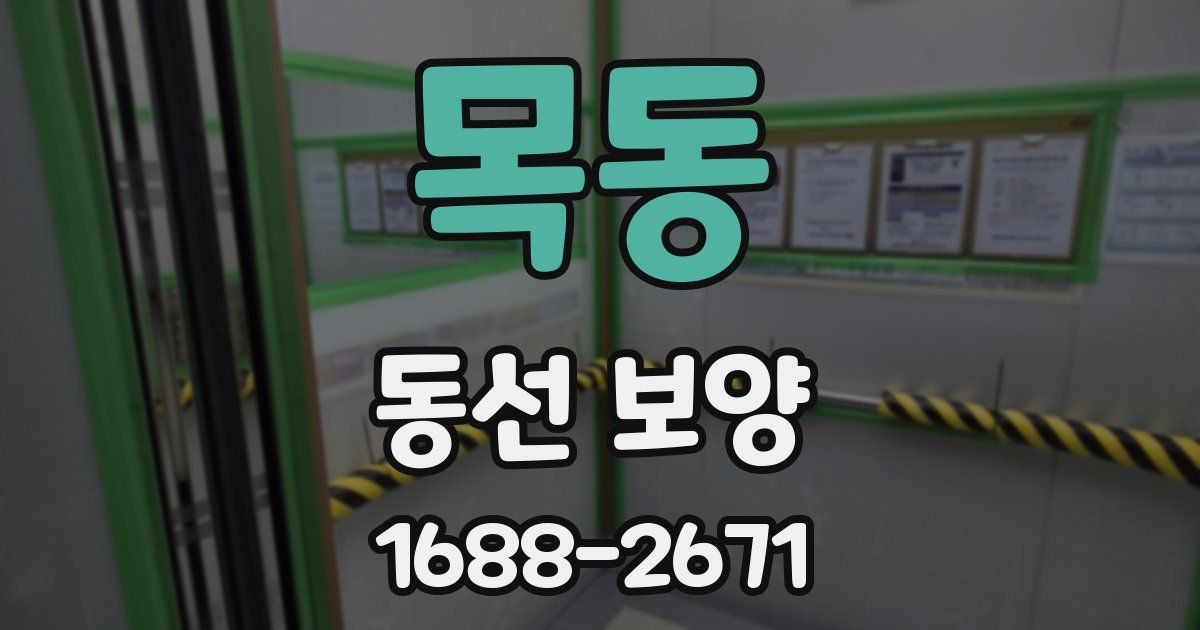 목동 동선 보양