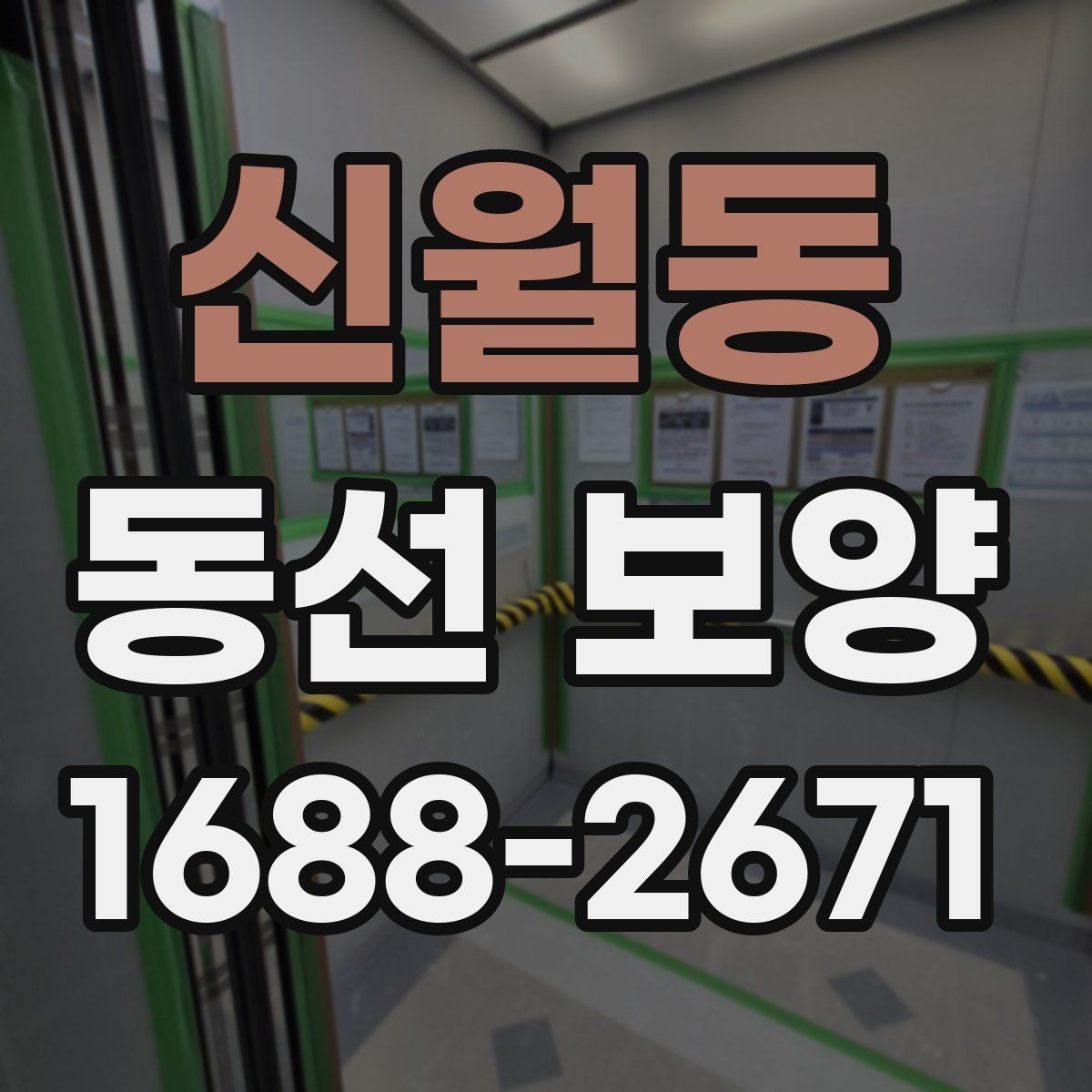 신월동 동선 보양 후 보수와 관리가 필요한 경우