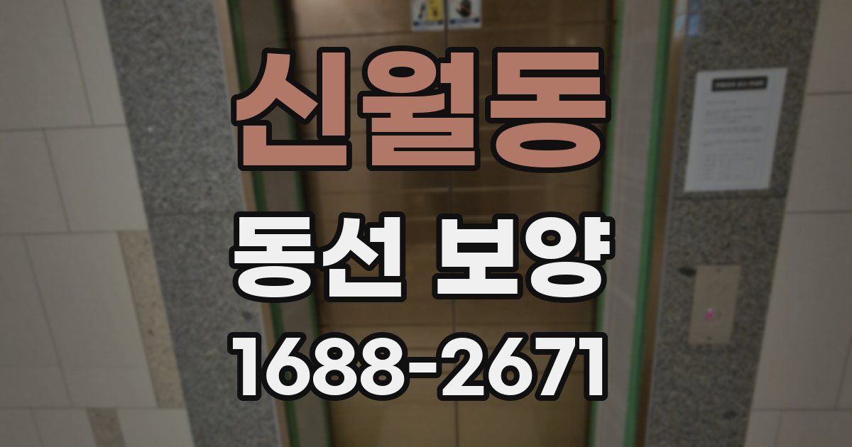 신월동 동선 보양