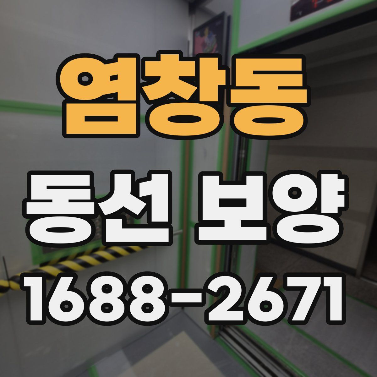 염창동 동선 보양