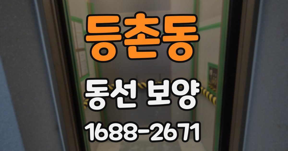 등촌동 동선 보양
