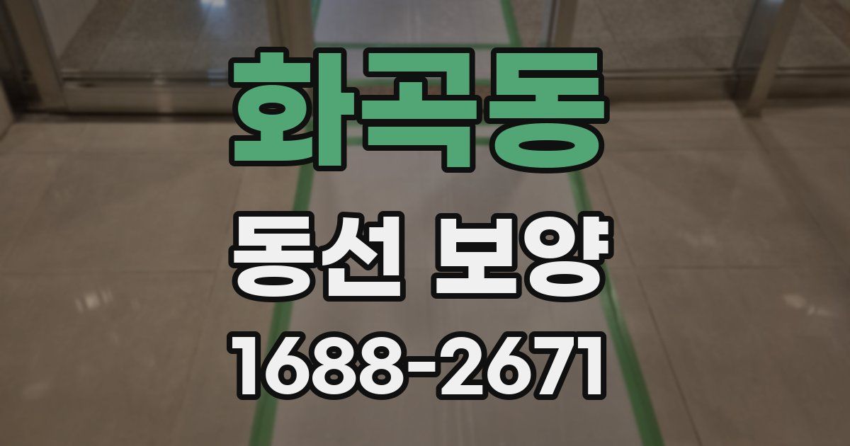 화곡동 동선 보양