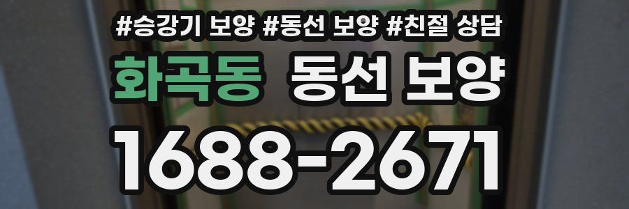 화곡동 동선 보양