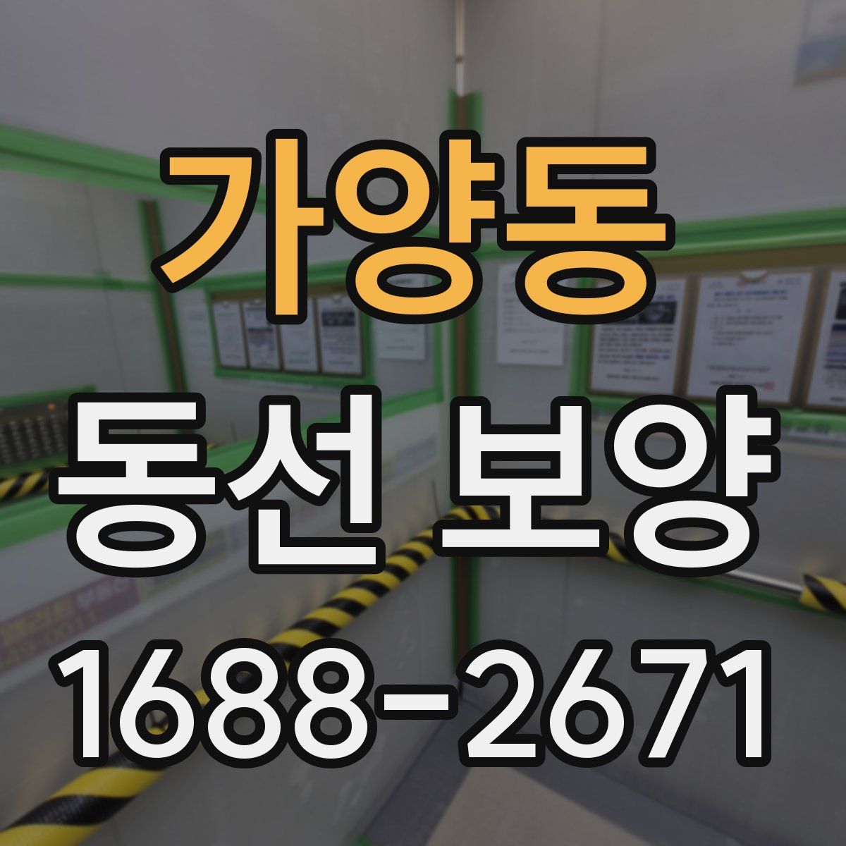 가양동 동선 보양