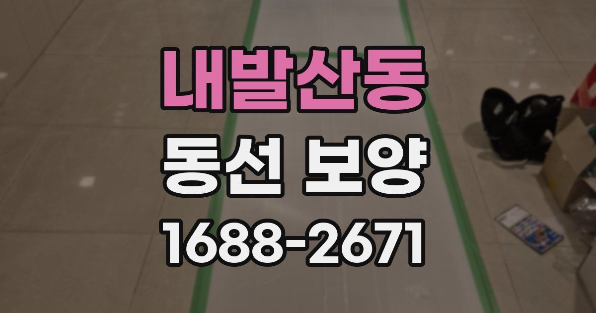 내발산동 동선 보양
