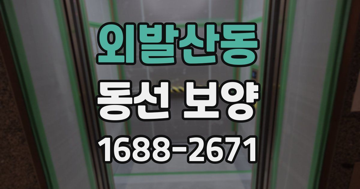 외발산동 동선 보양