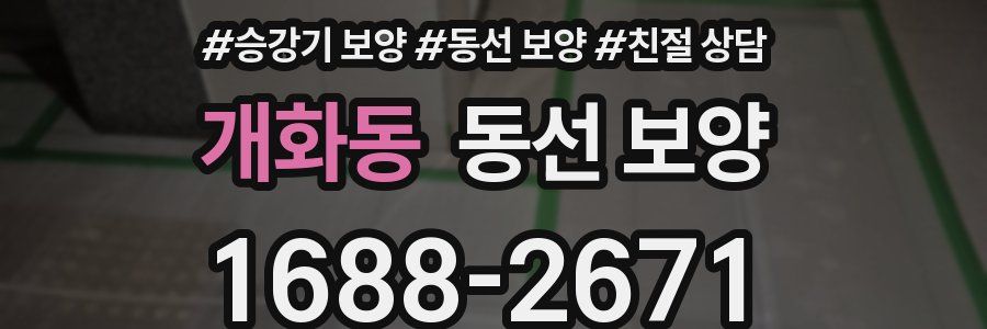 개화동 동선 보양