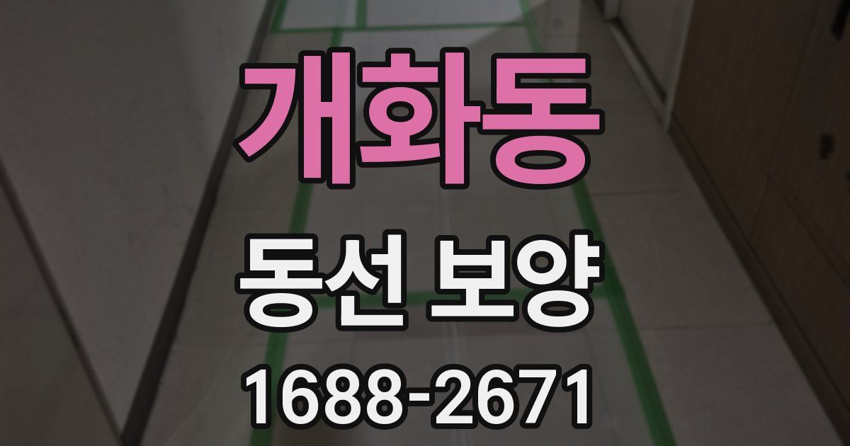 개화동 동선 보양