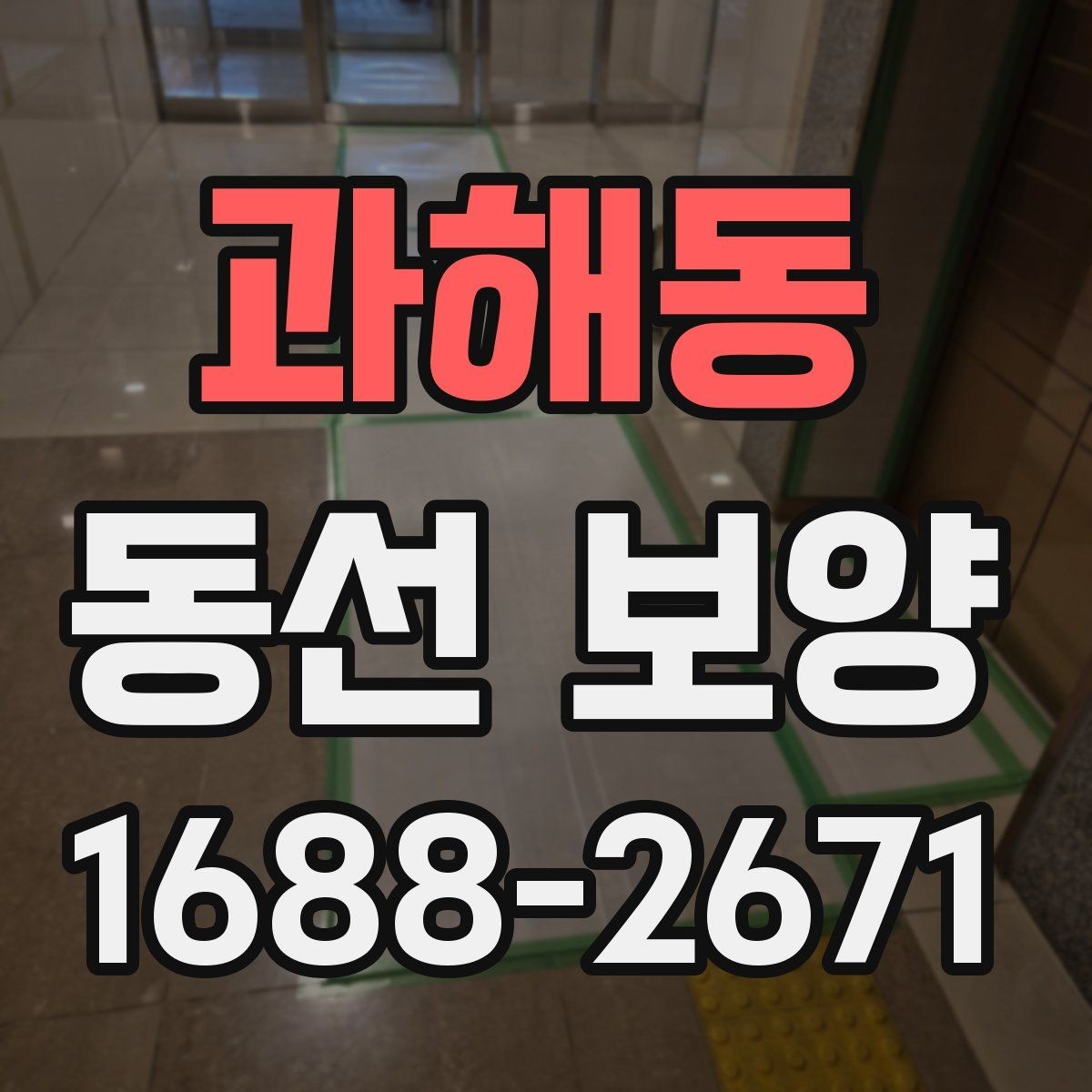 과해동 동선 보양 실무에서 자주 확인하는 기준
