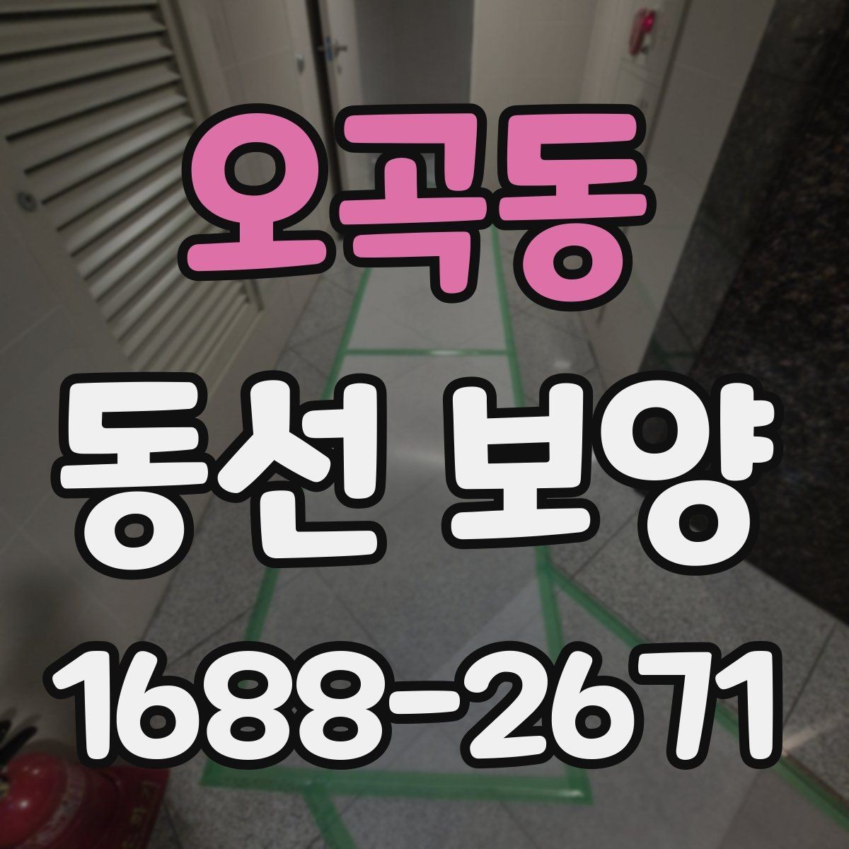 오곡동 동선 보양 시공 전 꼭 확인할 점