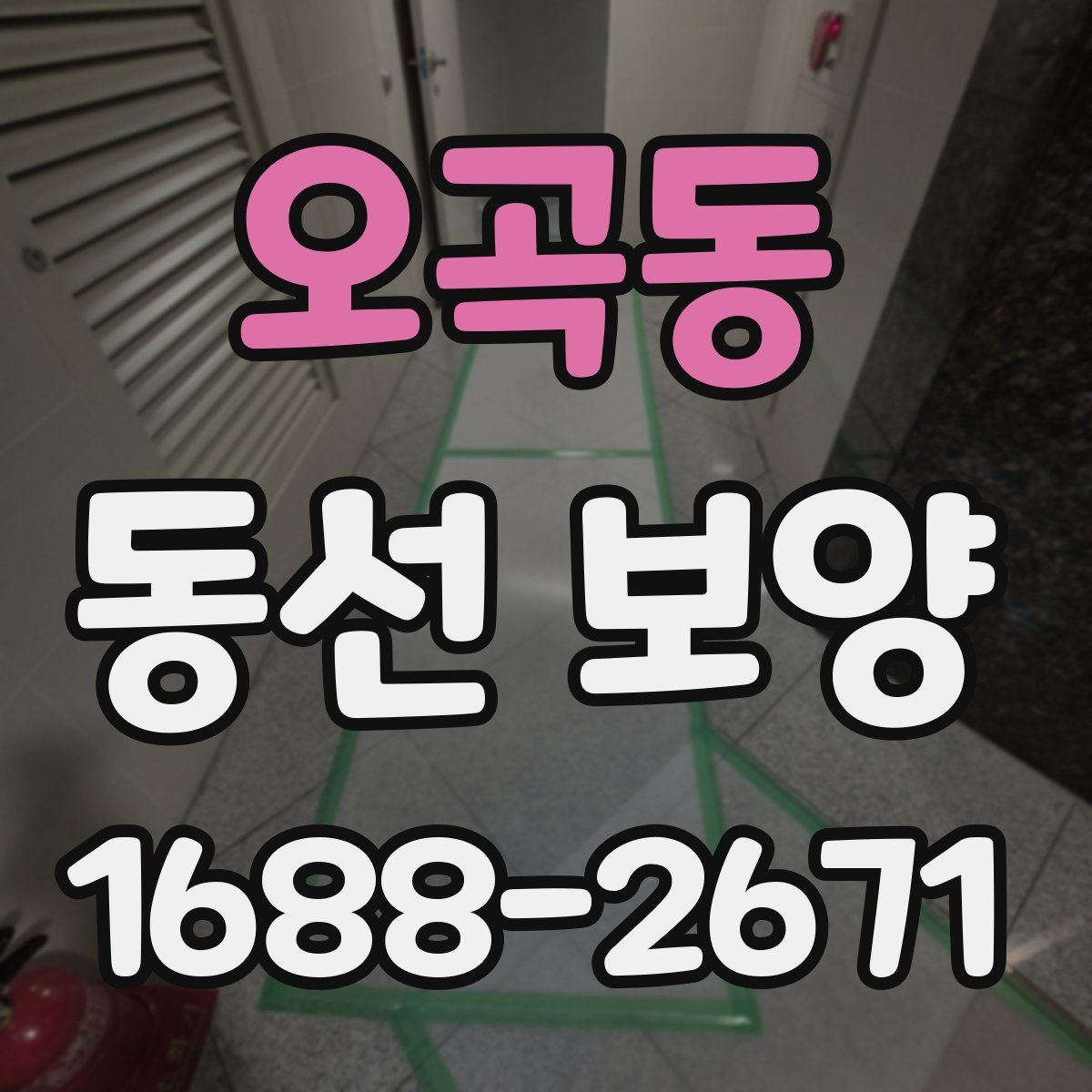 오곡동 동선 보양