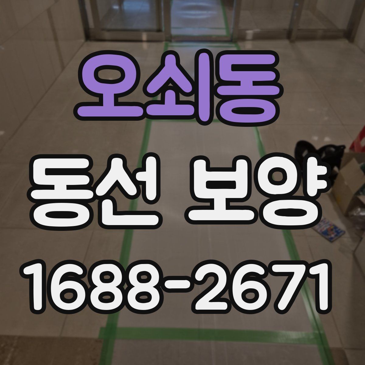 오쇠동 동선 보양 시 필요한 안전 수칙과 보호 장비