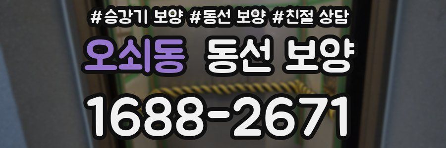 오쇠동 동선 보양