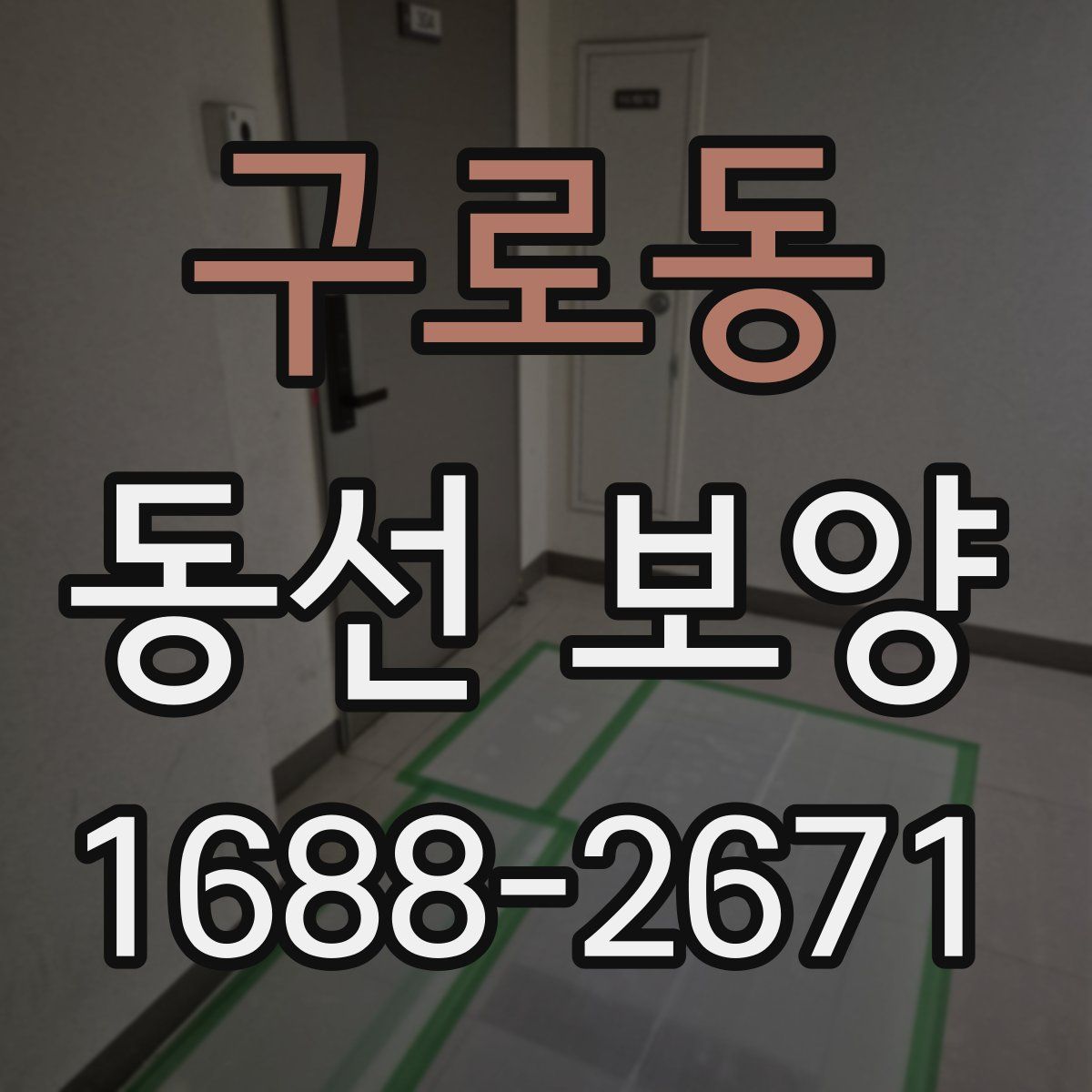 구로동 동선 보양