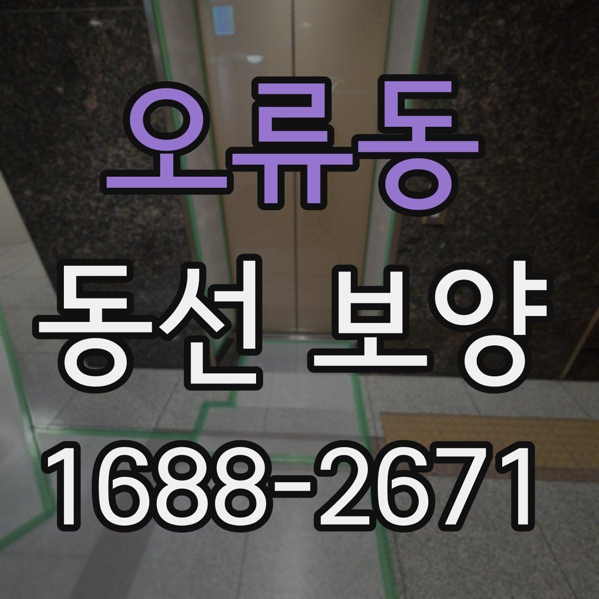 오류동 동선 보양 선택 전 비교해야 할 항목들