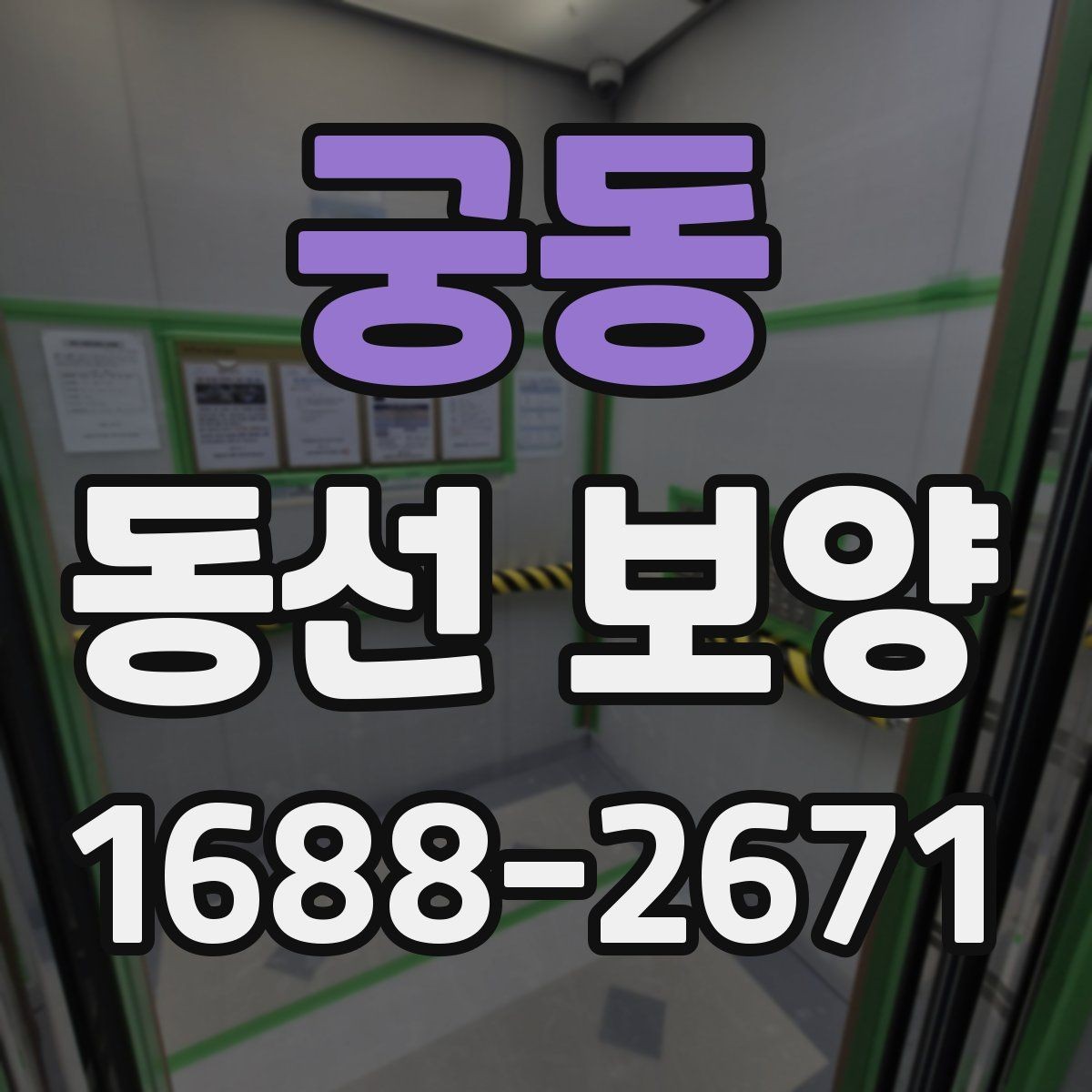 궁동 동선 보양 업체를 볼 때 확인할 기준