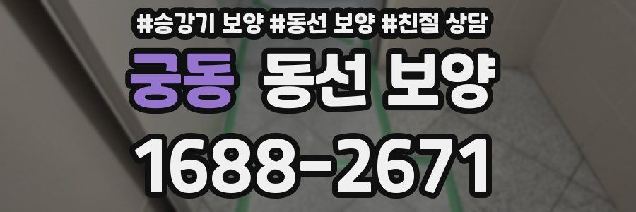 궁동 동선 보양