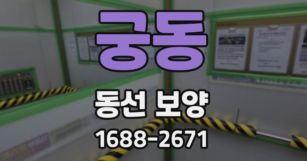 궁동 동선 보양