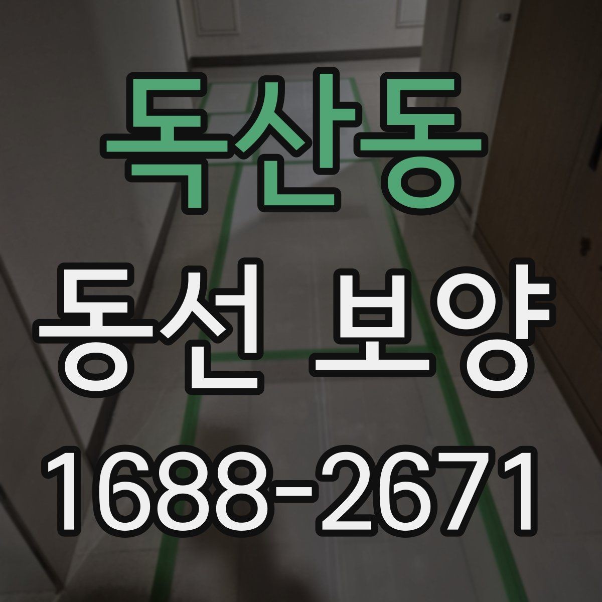 독산동 동선 보양 시공을 맡기기 전 비교 포인트