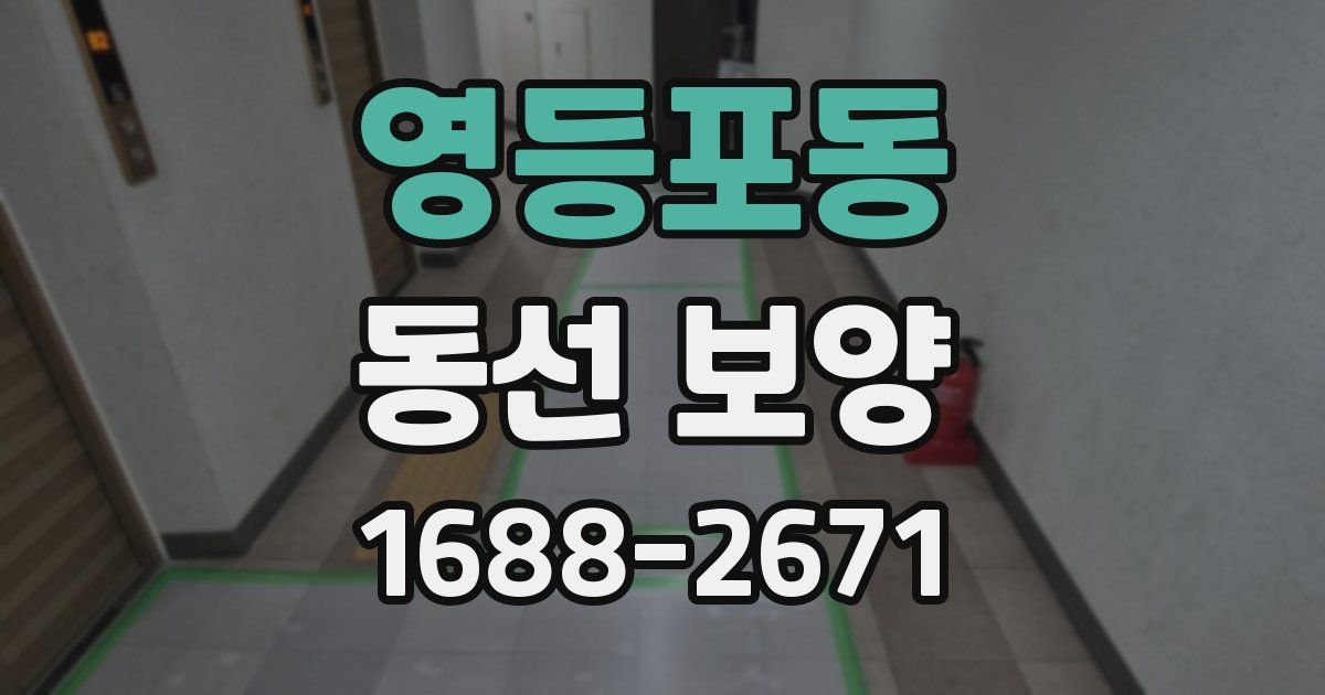 영등포동 동선 보양