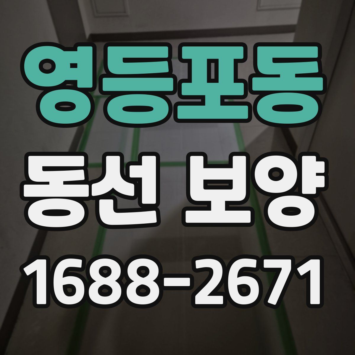 영등포동 동선 보양