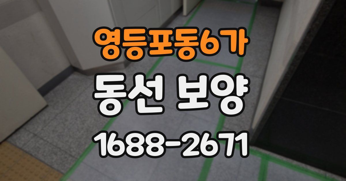 영등포동6가 동선 보양