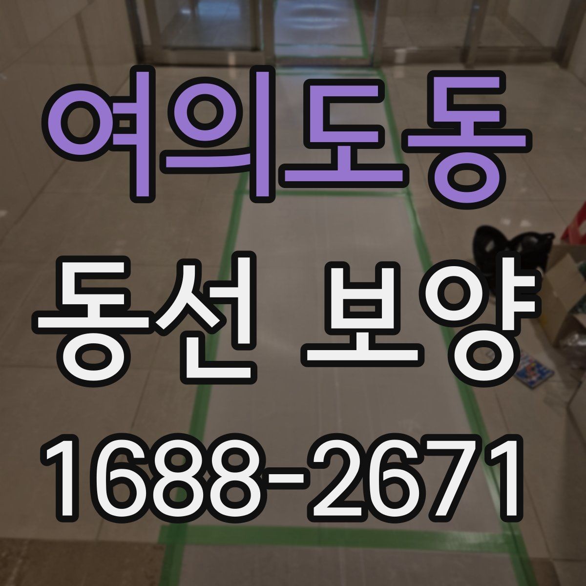 여의도동 동선 보양 시공을 맡기기 전 비교 포인트