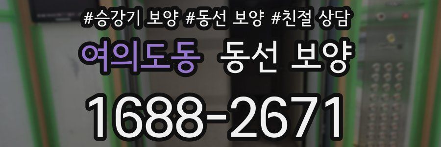 여의도동 동선 보양