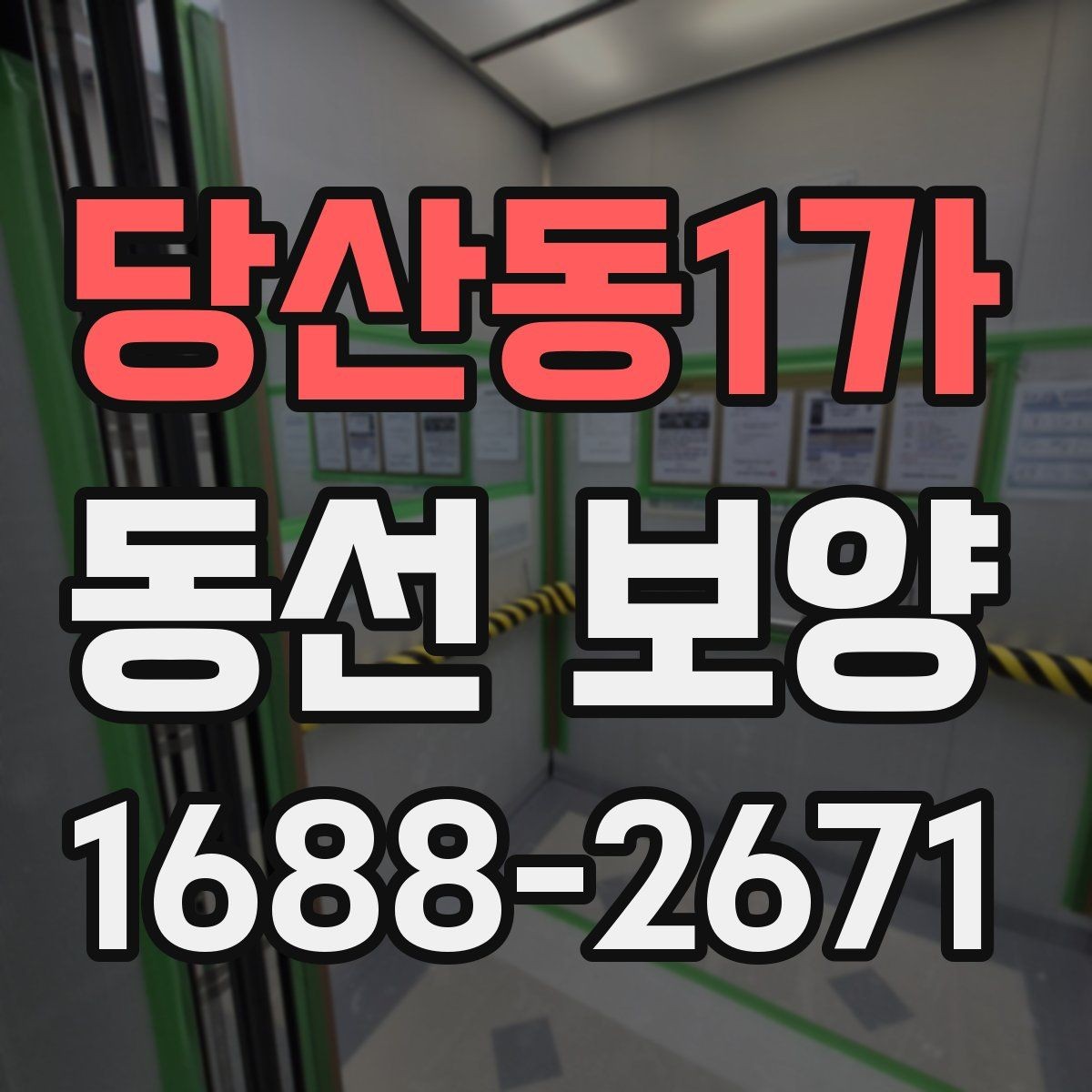 당산동1가 동선 보양 과정에서 생길 수 있는 문제와 대응