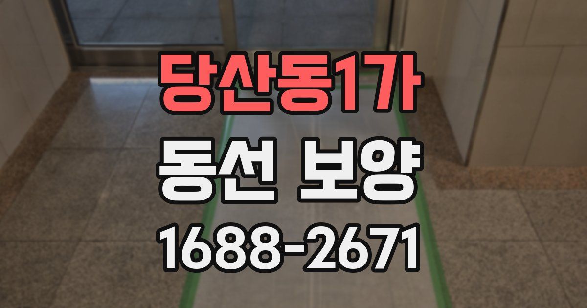 당산동1가 동선 보양