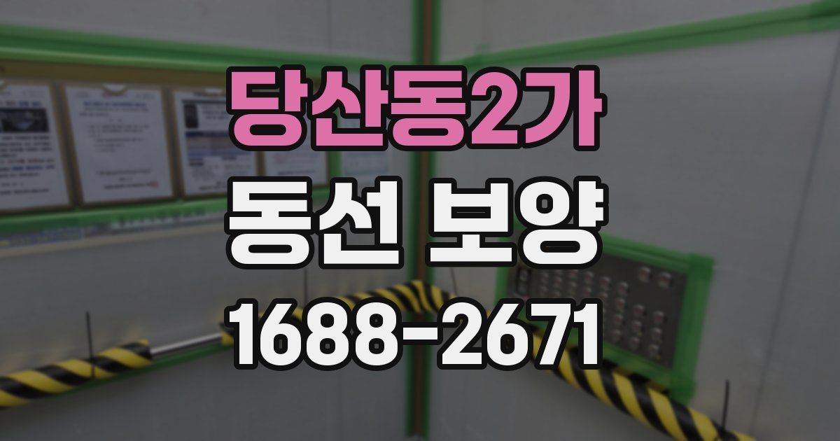 당산동2가 동선 보양