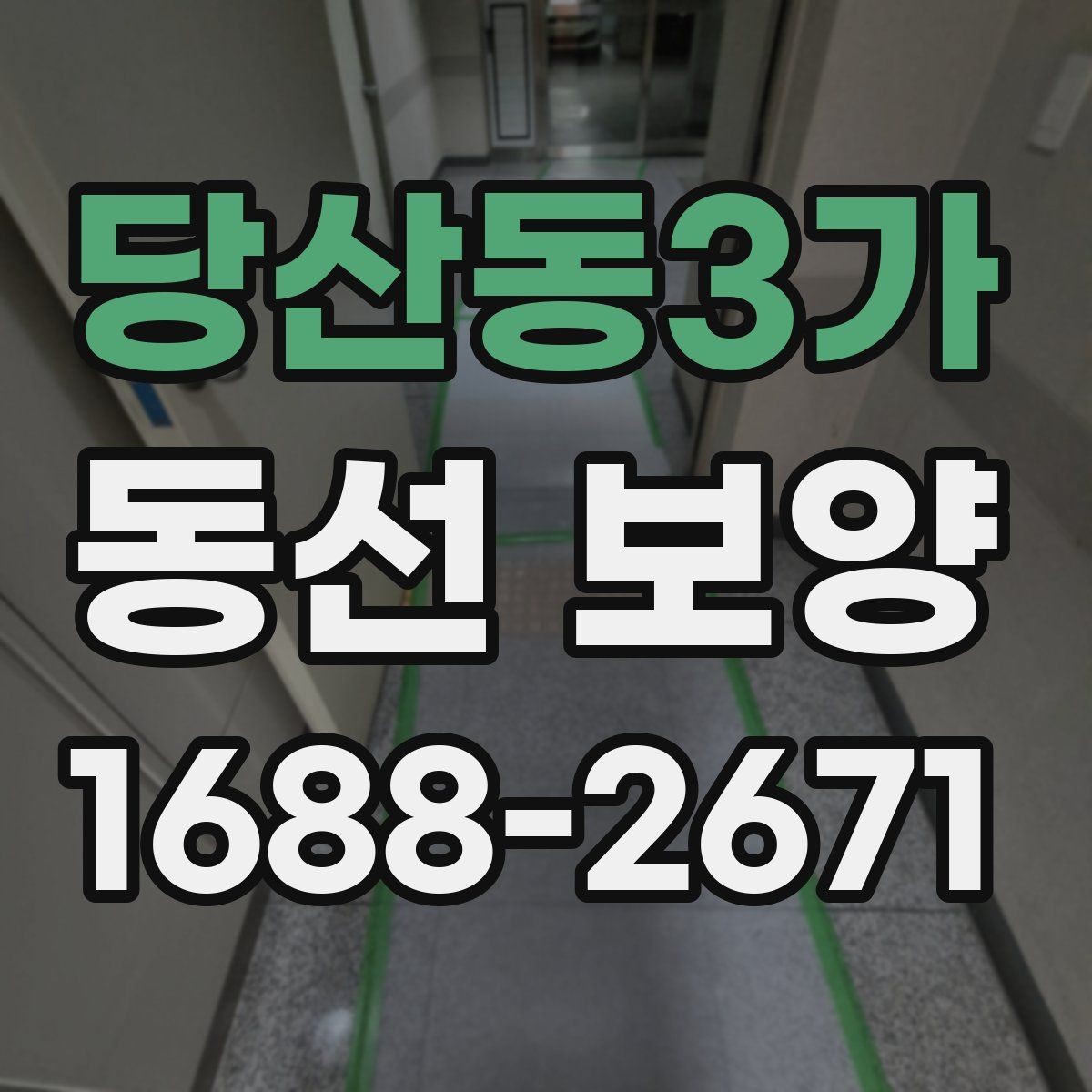 당산동3가 동선 보양 진행 과정에서 반복되는 실수