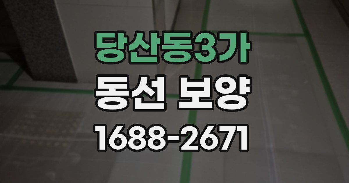 당산동3가 동선 보양