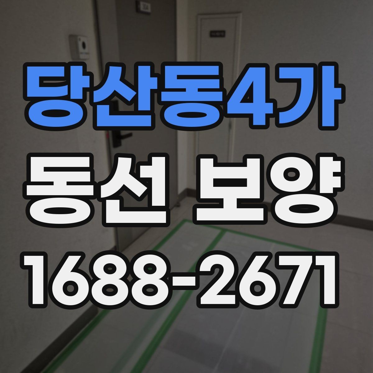 당산동4가 동선 보양 선택 시 품질과 비용을 함께 보는 법