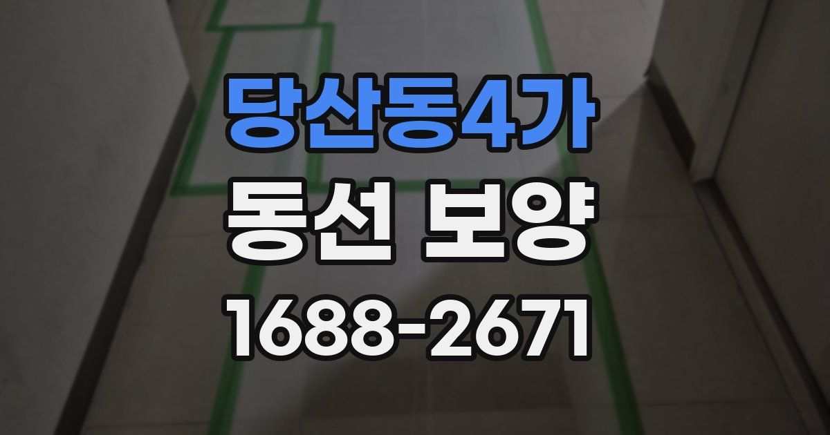 당산동4가 동선 보양