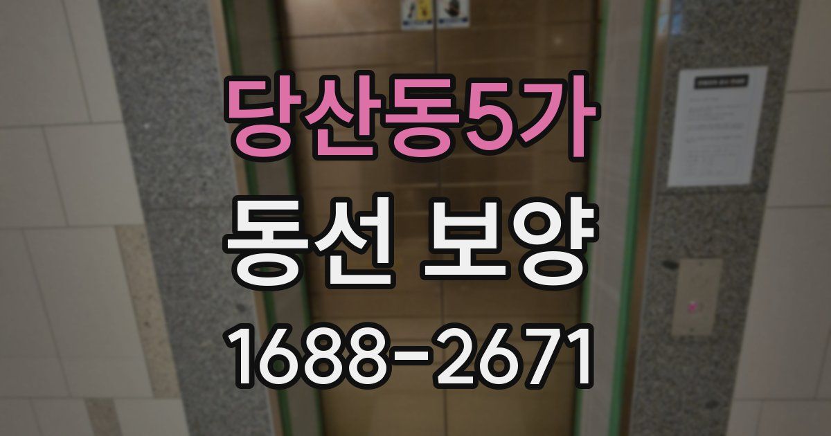 당산동5가 동선 보양