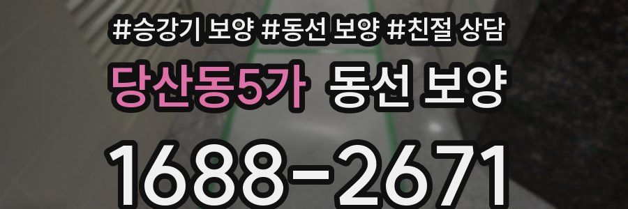 당산동5가 동선 보양