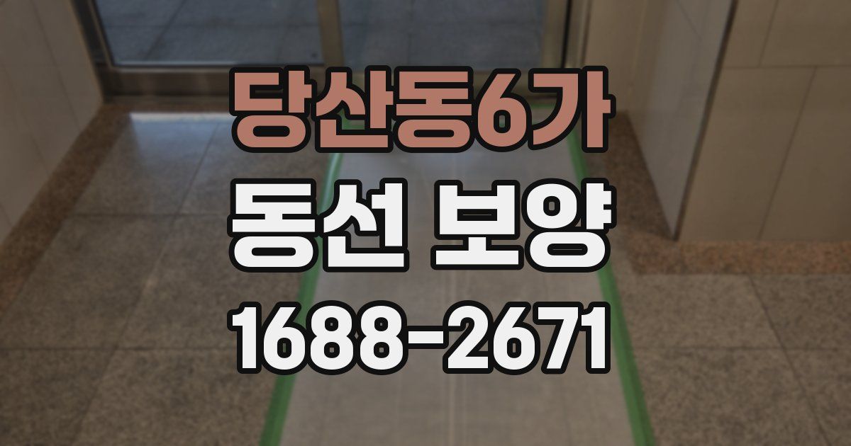 당산동6가 동선 보양
