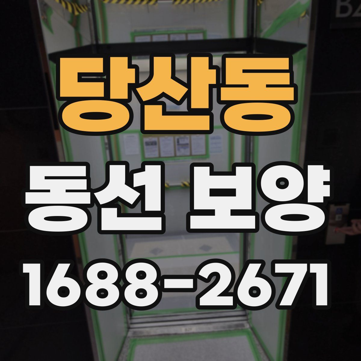 당산동 동선 보양