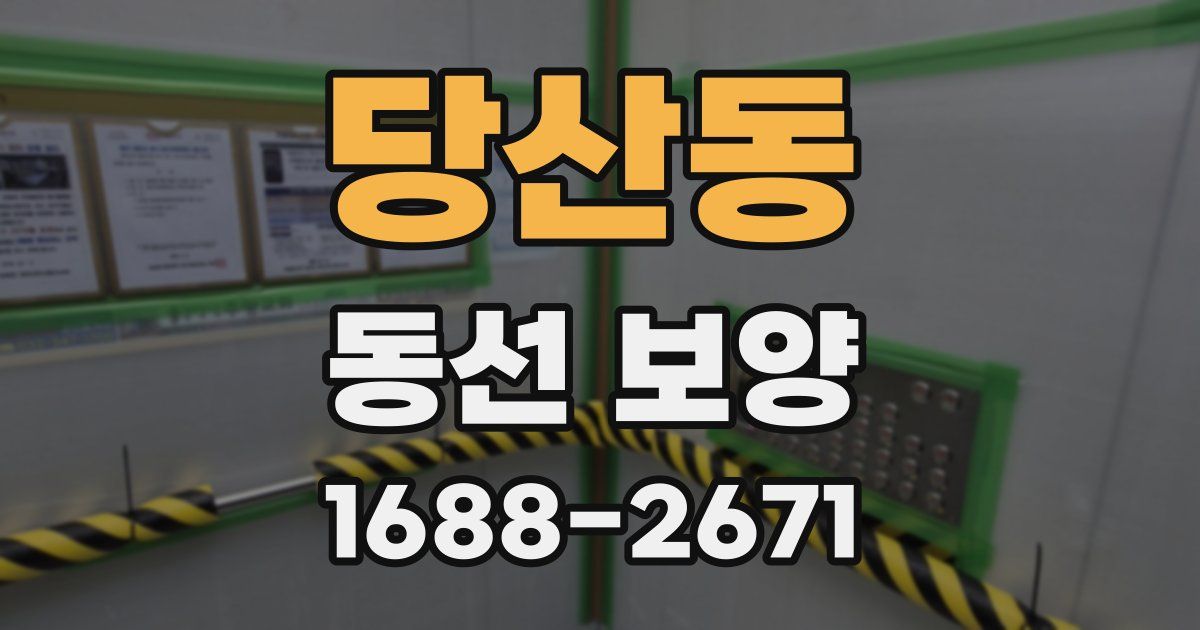 당산동 동선 보양
