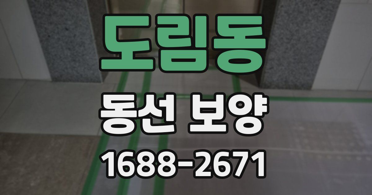 도림동 동선 보양