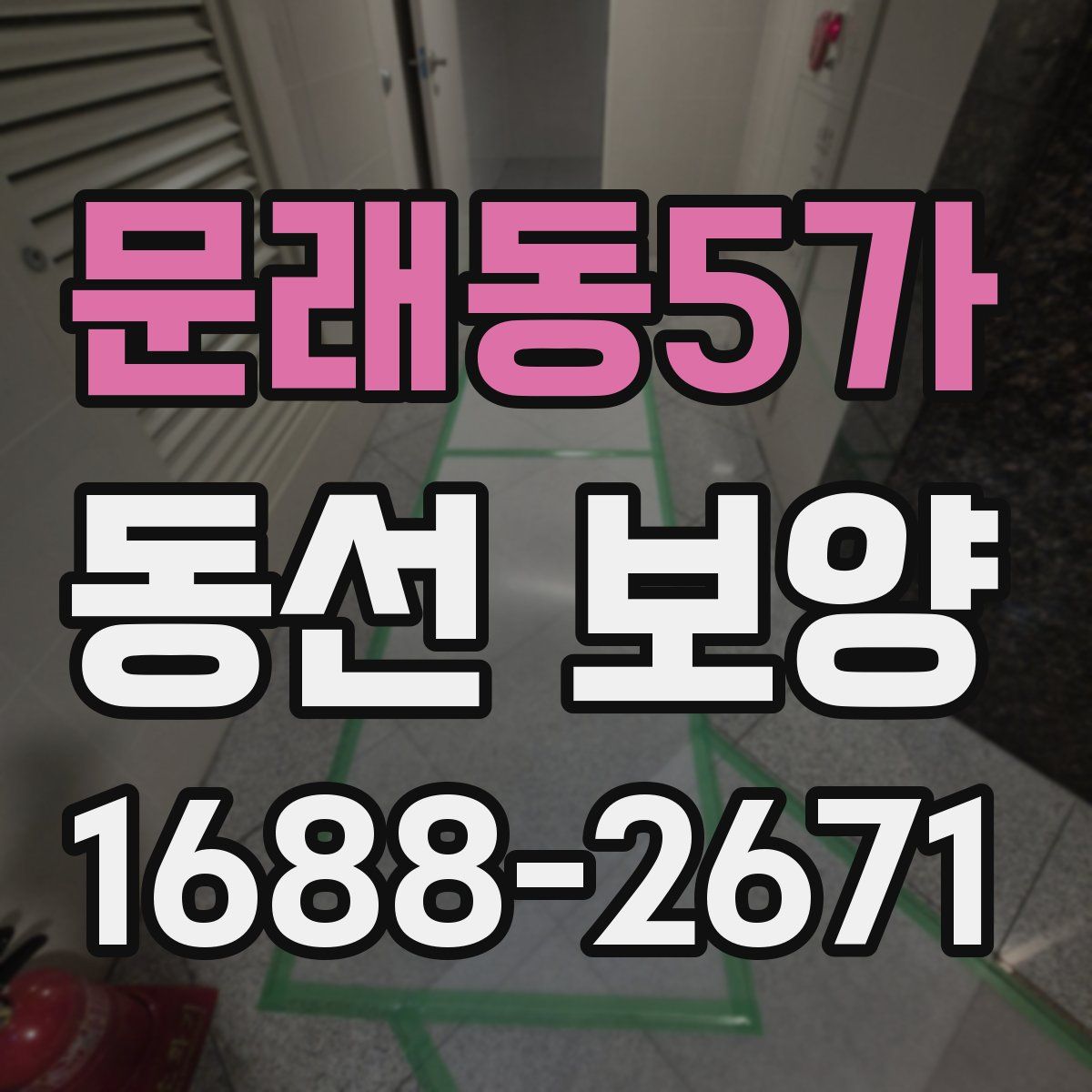 문래동5가 동선 보양