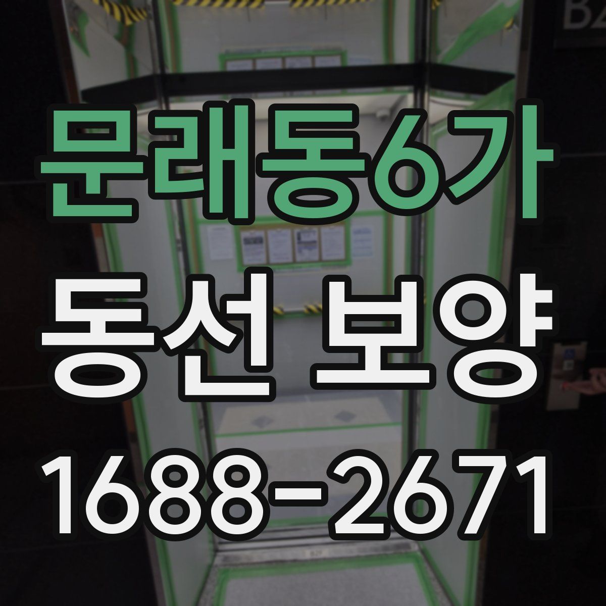 문래동6가 동선 보양