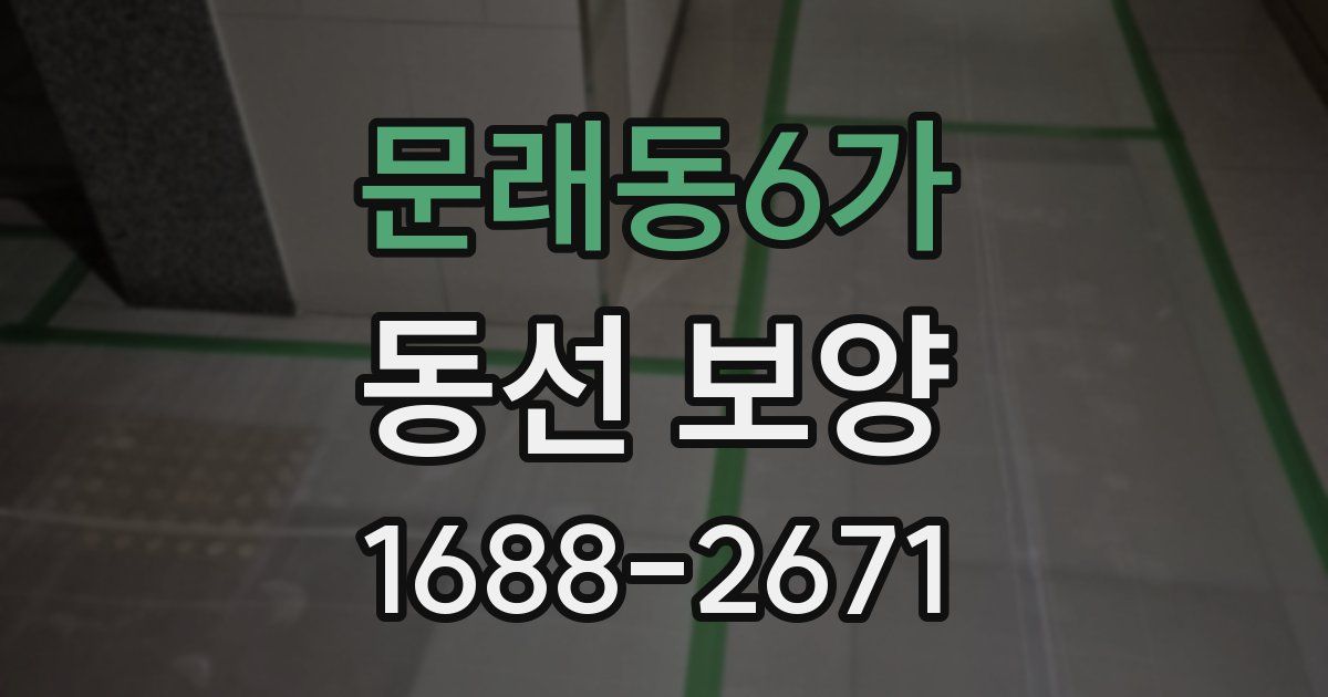 문래동6가 동선 보양